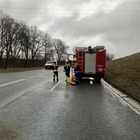 Ölspur2.jpg